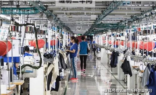 參觀紅嶺集團,學習紅嶺互聯(lián)網工業(yè)4.0模式