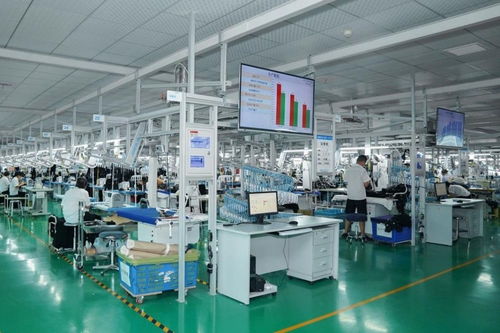 李婷 又要保就業(yè)又要數(shù)字化,服裝產(chǎn)業(yè)升級難在哪里